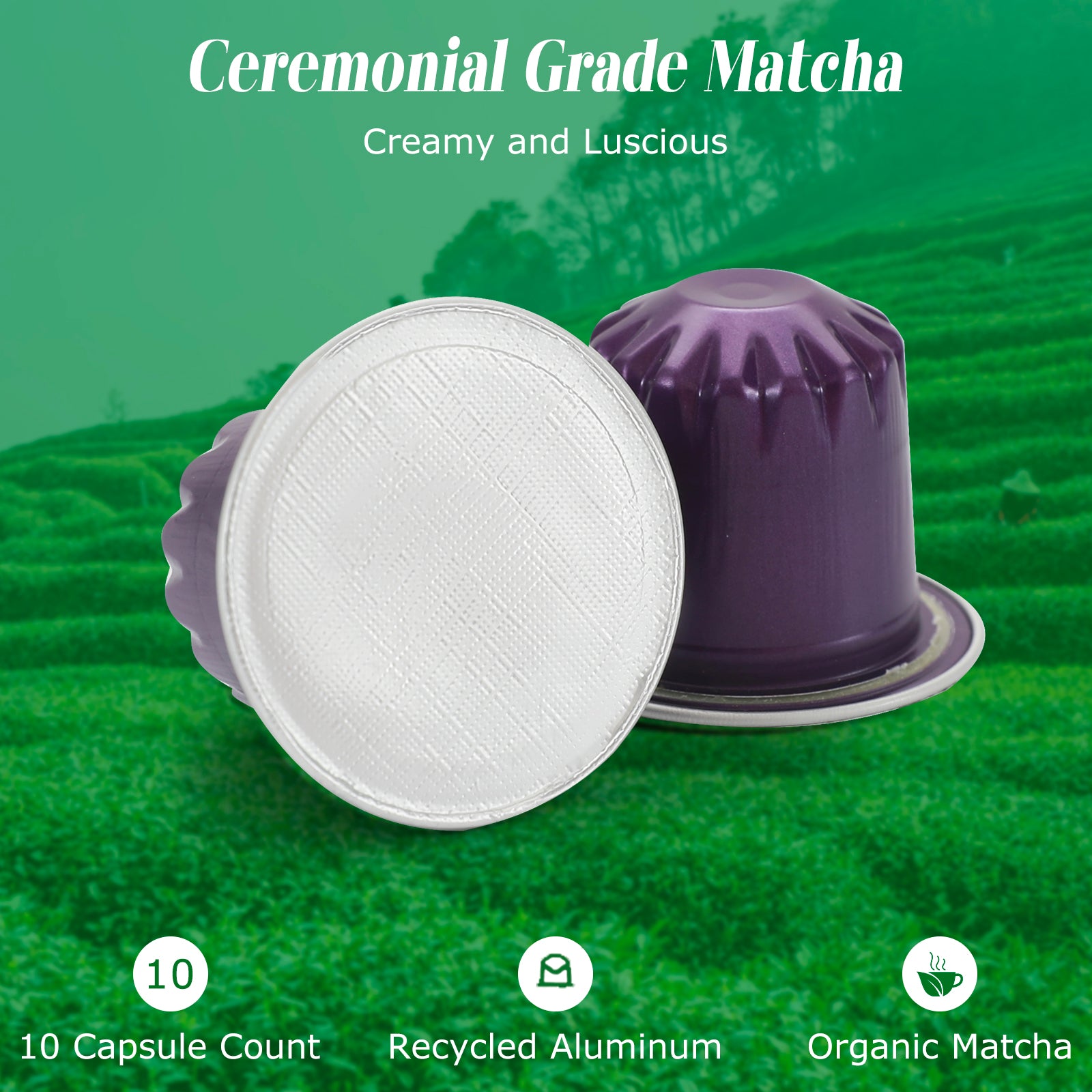 Organic Matcha Capsules for Nespresso Original