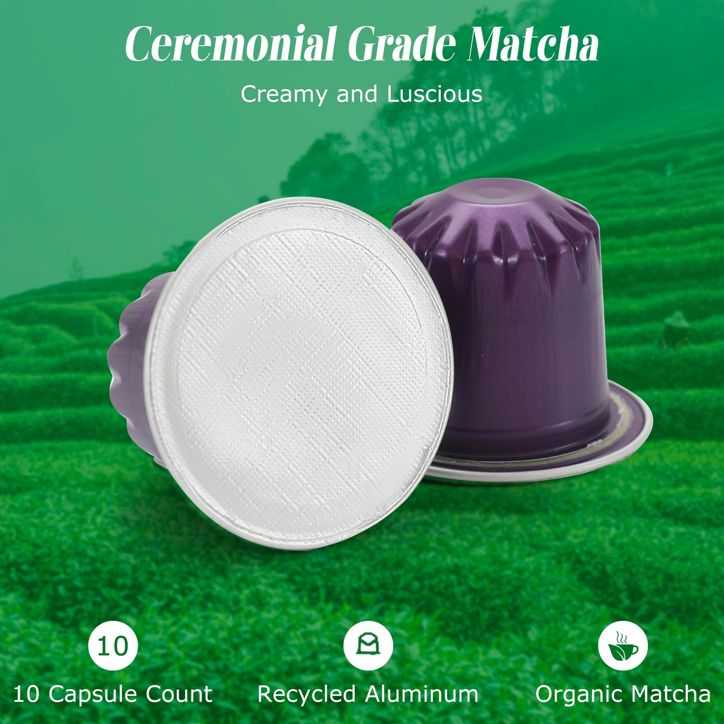 Organic Matcha Green Tea Capsule Unsweetened, Nespresso Original Compatible Pods,Recyclable Line Aluminium Capsules,10 Count (Pack of 1)